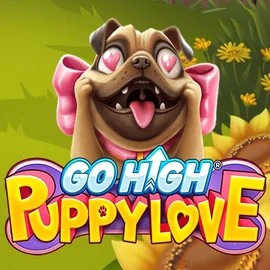 game logo by RubyPlay on lovecasinoo.com
